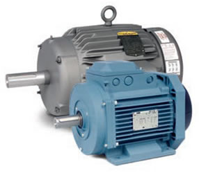 IEC Frame Motors